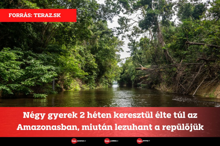 Négy gyerek 2 héten keresztül élte túl az Amazonasban, miután lezuhant a repülőjük