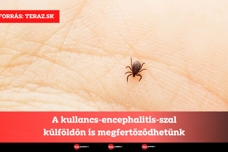 A kullancs-encephalitis-szal külföldön is megfertőződhetünk