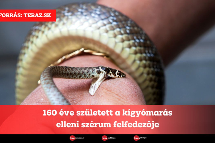 160 éve született a kígyómarás elleni szérum felfedezője