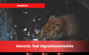 Somorja: Őszi rágcsálómentesítés