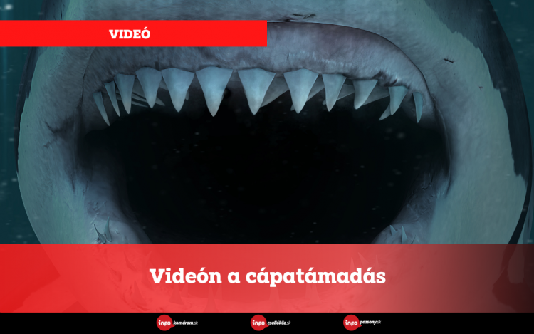 Videón a cápatámadás